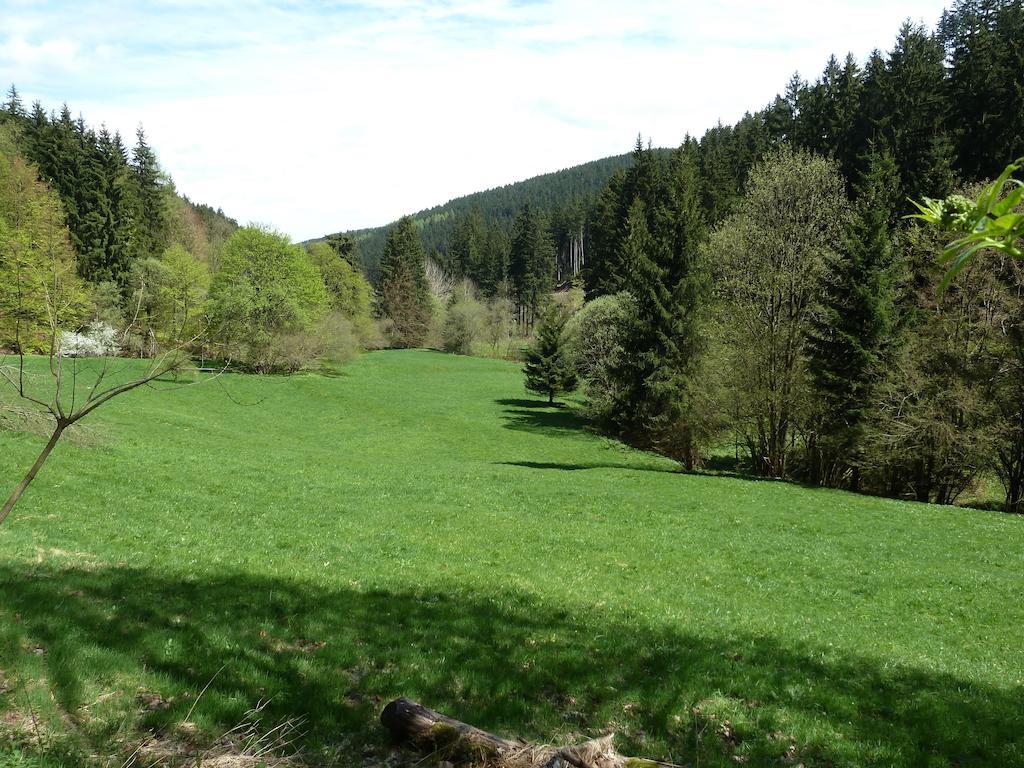 Ferienwohnung Bradsch Ilmenau Quarto foto