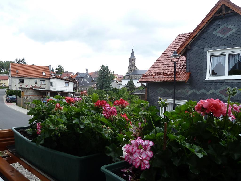 Ferienwohnung Bradsch Ilmenau Exterior foto