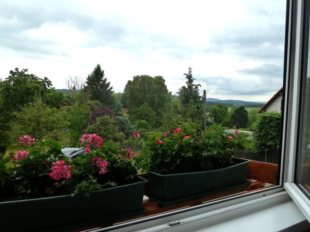 Ferienwohnung Bradsch Ilmenau Exterior foto