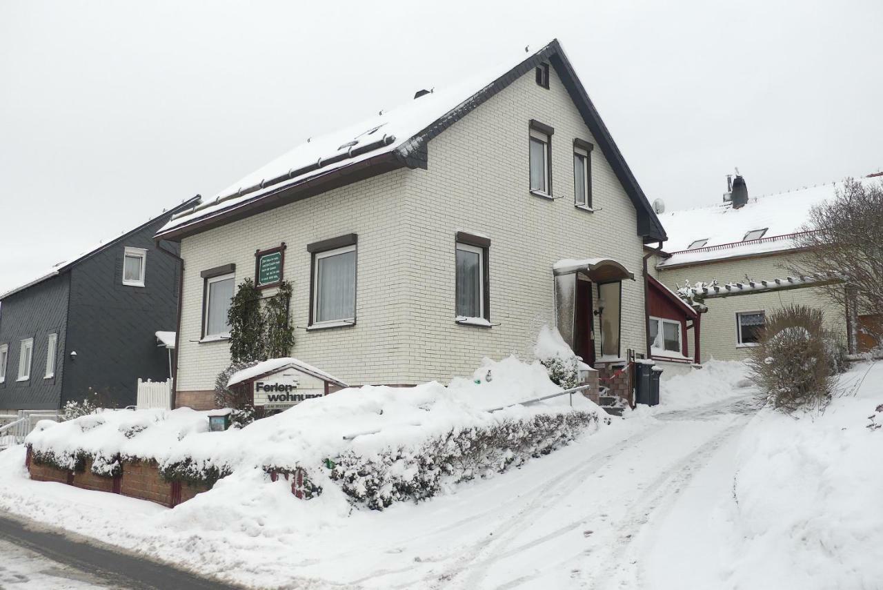 Ferienwohnung Bradsch Ilmenau Exterior foto